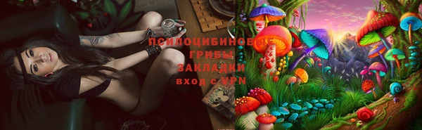 трава Каменка