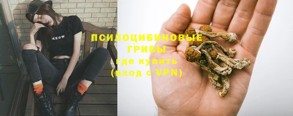 трава Каменка