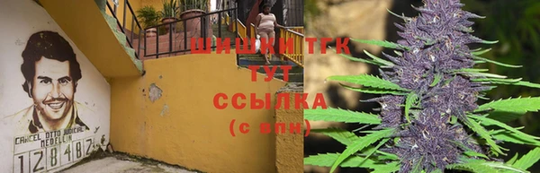 мдма Каменногорск