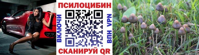 Псилоцибиновые грибы Psilocybine cubensis  Купить закладки  Ленинск 